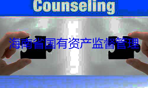 资产监督管理委员会党海南省国有查调查有福接受审委副书记王